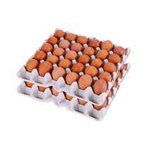 [더 시선] 무항생제 구운계란 총 60개 / 30개 * 2판 1세트