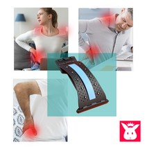 토토헬스리빙 척추기립금 도수 견인치료 허리통증완화운동 지압자석 10개, 그린-4단조절, 그린-4단조절