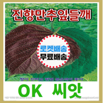 [OK씨앗] [진향만추잎들깨] 잎들깨씨앗 종자(오케이씨앗), 15g