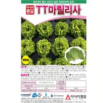 마릴리사 상추씨앗 (300립)