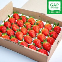 딸기농장 직송 설향딸기 프리미엄 생딸기 800g 딸기 선물 택배