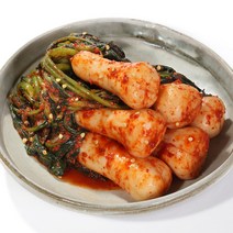 광주 김치타운 김치가 맛있는 정휴선 총각(알타리)김치 2kg 3kg 5kg, 총각김치3kg