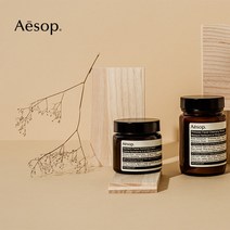 [호주발송] Aesop 이솝 페이셜 하이드레이팅 크림 3종 60ml/120ml (카멜리아너트 만다린 프림로즈), 프림로즈, 120ml
