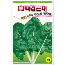 근대씨앗 백경근대 15g 약 1000립, 1.백경근대15g