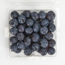 생블루베리 블루베리 125gx6팩 특 16mm이상 블루베리효능, 단품