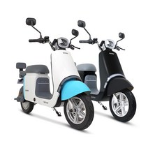 AU테크 에코로 버디5 출퇴근 배달 전동 전기스쿠터 48V 12Ah, 에코로 버디5 48V 12A 블랙 그레이{NT}