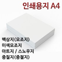 종이백화점 인쇄용지 A4 백상지 모조지 미색모조지 아트지 스노우지 중질지 중절지 주보용지 상장용지, 120g 스노우지 A4, 250매