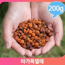 마가목 약초 열매 200g 붉은빛 영양 건강차 따뜻한차