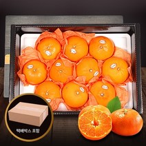 [참다올] 명품 제주 천혜향 3kg(9-10과) x 2, 상세페이지 참조, 단품