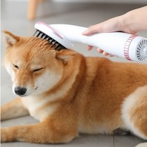 펫드라이룸렌탈 강아지털말리는기계 강아지드라이룸렌탈 강아지털말리기 강아지건조기 고양이털말리기 강아지드라이기거치대 강아지에어샤워 대형견드라이기 반려견드라이기
