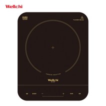 웰치인덕션 신제품 1구 이동형 인덕션 WEI-100P, 단품, 단품