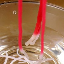 [케이에스스토어] 열감지 꿈틀이 5명 set 과학키트 방과후수업