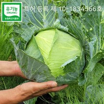 특허받은 유기농 친환경 양배추 3kg 5kg 10kg, 유기농양배추3kg, 1개
