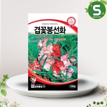 솔림텃밭몰 겹꽃봉선화씨앗 100립 봉선화 꽃씨앗 종자, 단품