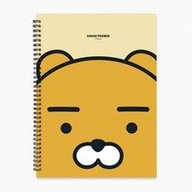 기타 f20 122211_카카오 스프링 클리어파일 라이언_230x310mm 20매 1개입, 상세페이지 참조