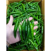 청양고추 1kg 매운고추 땡초 햇고추