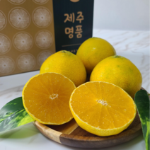 (26일 오전9시 주문마감) 제주 산지직송 황금향 명품 선물세트, 로얄과 3kg + 선물포장