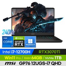 [사은품 증정!] MSI VECTOR GP76 12UGS-i7 QHD 고사양 배그 롤 로아 오버워치 17인치 게이밍 노트북 (코어i7-12700H/RTX3070Ti), 윈도우 포함, 64GB, 1TB, 코어i7, 블랙