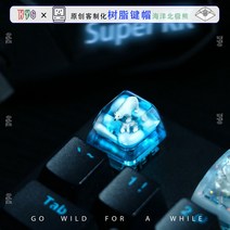 포인트 키캡 Shell Research Institute 수지 에폭시 맞춤형 Keycap 맞춤형 Creative Glacier Polar Bear 투명 수지 선물 Key 예쁜 키캡, 1. 투명