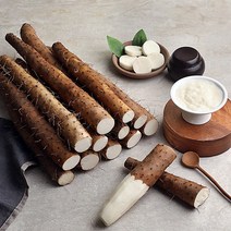 땅속의 장어!! 서안동농협 국내산 장마 2kg, 장마 특품 2kg