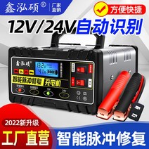 주행 충전기 차량용 인산철 배터리 뱅크 14.6v 파워뱅크 이온 파워 캠핑, 6AH-200AH 12v24v