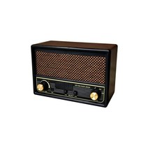 FESCO 창가 라디오 DX100 AM/FM 라디오 포함 음악 플레이어 SRDX-001