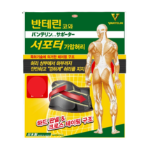 (리뉴얼) 반테린코와 서포터 하드 판넬 가압 허리 보호대 (M L XL), 1개
