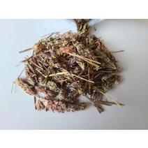 지리산 산청 약초 국산 하고초 꿀풀 차 200g (자연산 야생 국내산 건조 말린 하고화)