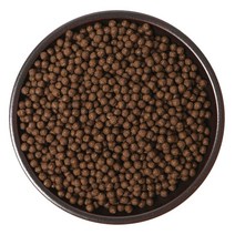 노니환 400g 1kg 노니추출분말 500g 1kg 노니, 없음, 노니 환 1kg