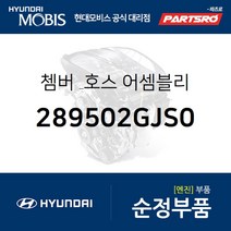 쳄버 & 호스 (289502GJS0) 벨로스터N 현대모비스부품몰