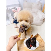 강아지뼈간식 9종 골라담기 메추리간식 오리목뼈 도가니 날개 캥거루꼬리 우족 애견수제간식, 선택9 간식 4종 선물세트