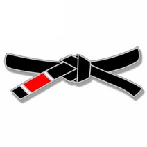 태권도 품띠 주짓수 벨트 띠 Jiu Jitsu블랙 모양의에이티브 자동차 스티커 액세서리 비닐 PVC 13cm x 5cm 바이크 오토바이 방수 앞 유리 스타일링 데칼