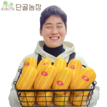 산지직송 스테비아급 고당도 성주 참외, 선물용 / 2kg / 중과 / 6~8과 내외