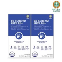 [내츄럴어스] 칼슘마그네슘아연비타민D 플러스 2박스(6개월분)/뼈영양제/관절영양제/부모님영양제/9중복합기능성/, 단품, 단품