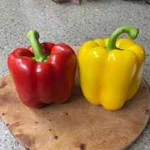 싱싱한 최상품 파프리카 빨강 노랑 혼합 1kg 3kg 5kg 빨간 노란 혼합 [노블프레쉬], 빨강 파프리카만