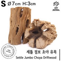 세틀 점보 초야우드 선인장 유목 S, 상세페이지 참조