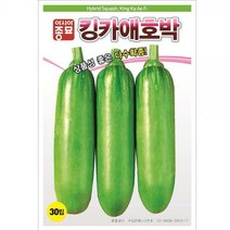 (아시아 호박씨앗 종자) 킹카애호박 30립 상품성 좋