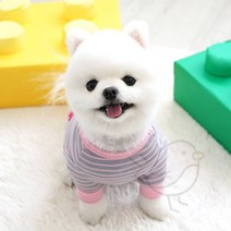 새임 스트라이프티셔츠 핑크 반려견여름옷 포메라니안옷 스탠다드푸들옷, XL