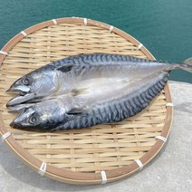 아이홈푸드 [바다의행복] 여수바람으로 말린 반건조 생선 골라담기, 국내산 반건조 갑오징어 (중)