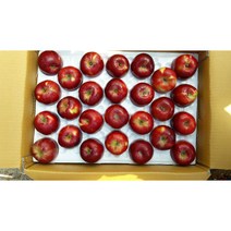 봉화사과부사(미안마) 5kg10kg, 10kg(40~45과)