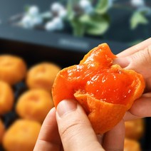 최상급 명품 상주 반건시 건시 곶감 선물세트 가정용 선물용 실속형 영동 산청 곶감, 04_반건시 선물세트 개별포장 20구