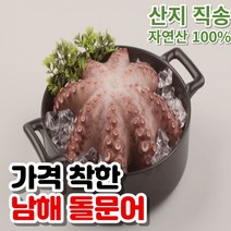 가격착한 남해 돌문어 1kg 2kg 당일 조업 당일 배송 시스템 피문어 자연산 숙회 회 문어, 2kg (4~6미/5~7인분)