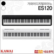 ES120, 가와이 ES120/W