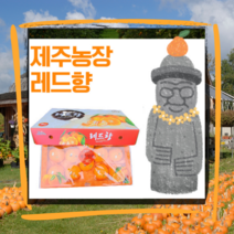 제주산 레드향 대과 가정용 선물용 3kg 5kg 설 명절 선물세트, 선물용1+1