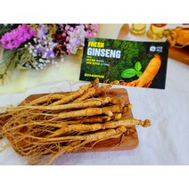 금산인삼 꿀절임 튀김 삼계탕수삼 재배 삼계삼 유통공사 500g, 3-2. [세척] 36~45뿌리 500g