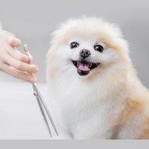 비숑 포메라니안 셀프미용 민가위 CMER51 애견 가위컷