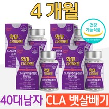 40대 남자 복부지방 뱃살 빼기 체지방률 CLA 다이어트 남성 DIET 보조제 공액리놀레산 복부지방 피하지방 내장지방 지방 분해 늘어진 처진 뱃살 운동 식단 병행 CLA 씨엘에이