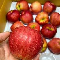 13브릭스 경북 홍로 홍옥 껍질째먹는 청송 꿀 사과 주스용 데일리, 1개, 5kg