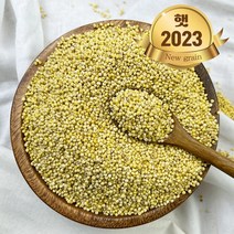 힘찬농부오달봉 국산 찰기장 기장쌀, 1개, 1kg