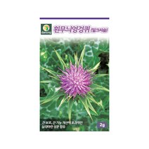 우유엉겅퀴 흰무늬엉겅퀴 씨앗 2g 밀크씨슬 2년초, 단품